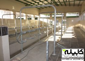 فریم شیردوش گاو هرینگ بن 1200