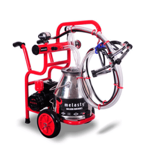 نحوه عملکرد شیردوش گوسفند