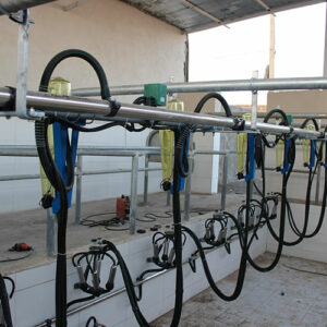 انواع قطعات لاستیکی شیردوش گاو