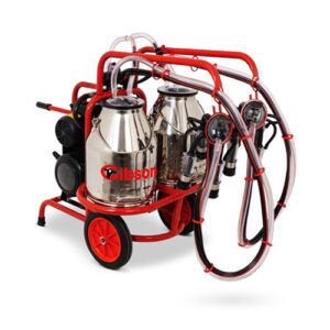 کلسترها و لاین‌ها