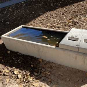 کاربرد آبخوری بز