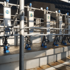 سوئینگ اور اتوماتیک با سیستم CIP (شست‌وشوی اتوماتیک)