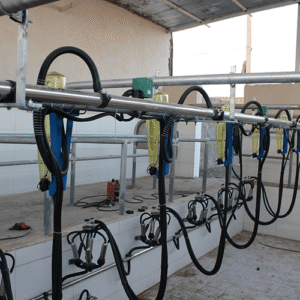 کاهش استرس گوسفندان