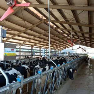 انواع سیستم‌های خنک‌ کننده گاو