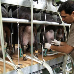 اجزای اصلی دستگاه ثابت شیردوش بز