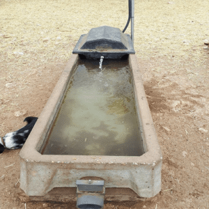 انتخاب بهترین آبخوری برای بز