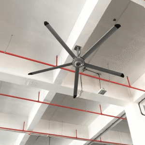 کاربرد فن هلیکوپتری بز