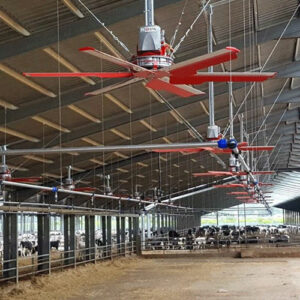 کاربرد فن هلیکوپتری گاو در فصول مختلف