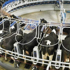 انواع فریم شیردوش گاو