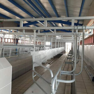 مزایای استفاده از هرینگ بن فریم شیردوش گاو