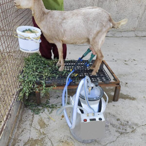 مزایای استفاده از شیردوش بز