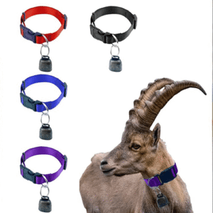 تأثیر گردنگیر بر آرامش بز