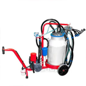 دستگاه دو واحد برقی با وکیوم پمپ روغنی