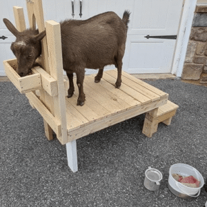 انواع فریم شیردوش بز