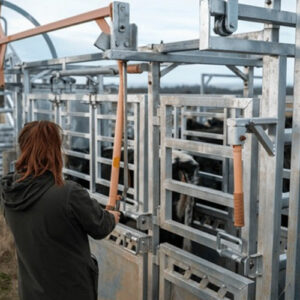 گاو زن فنری یا منعطف