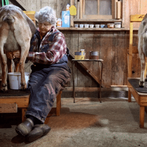 انواع فریم شیردوش دستی بز