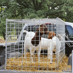 باکس بزغاله فلزی