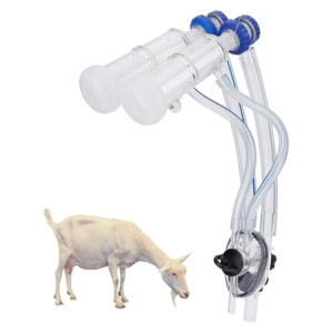 معرفی و نقش زانو در سیستم شیردوش بز