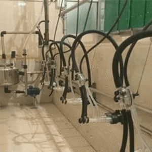 دستگاه ثابت شیردوش چند واحدی صنعتی