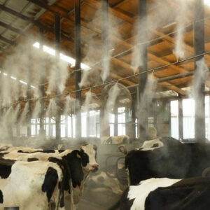 نقش سیستم خنک‌ کننده در رفاه دام