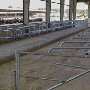 نکات مهم در خرید فریم شیردوش گاو