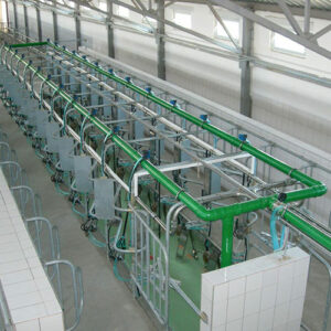 نکات مهم در خرید هرینگ بن فریم شیردوش گاو