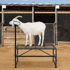 ویژگی‌های فریم شیردوش بز باکیفیت