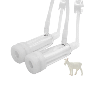 مشکلات ناشی از خرابی زانو: تهدید سلامت دام و کیفیت شیر