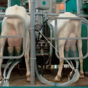 نگهداری و مراقبت از دستگاه ثابت شیردوش بز