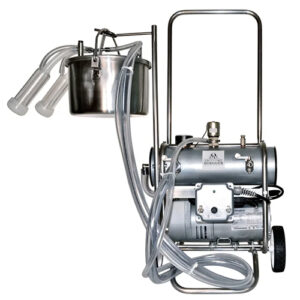 شاسی و سیستم حرکتی