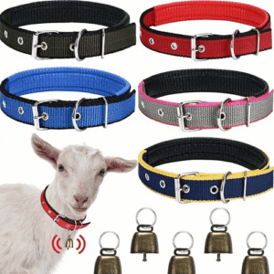 نحوه نصب و استفاده صحیح از گردنگیر