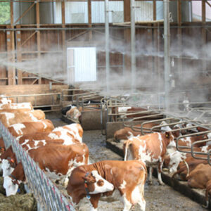 تاثیر سیستم خنک‌ کننده بر اقتصاد دامداری