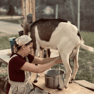 اهمیت فریم در بهداشت شیر و سلامت دام