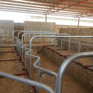 نقش فریم شیردوش در بهبود کیفیت شیر