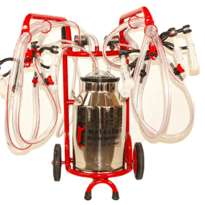 انواع شیردوش گوسفند