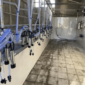 مزایای دستگاه ثابت شیردوش گوسفند