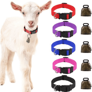 انواع گردنگیر بز و تفاوت مدل‌ها