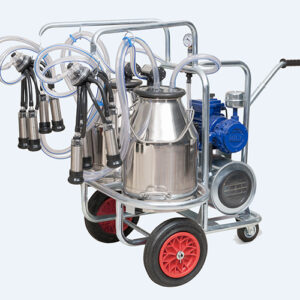 ملاحظات بهداشتی در شیردوشی بز