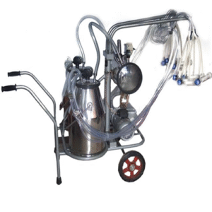 نقش و انواع اتصالات در سیستم شیردوش بز