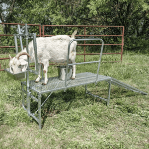 انواع فریم شیردوش اتوماتیک (جک‌ دار) بز