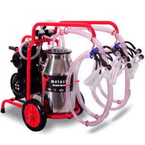 ملاحظات بهداشتی در شیردوشی بز