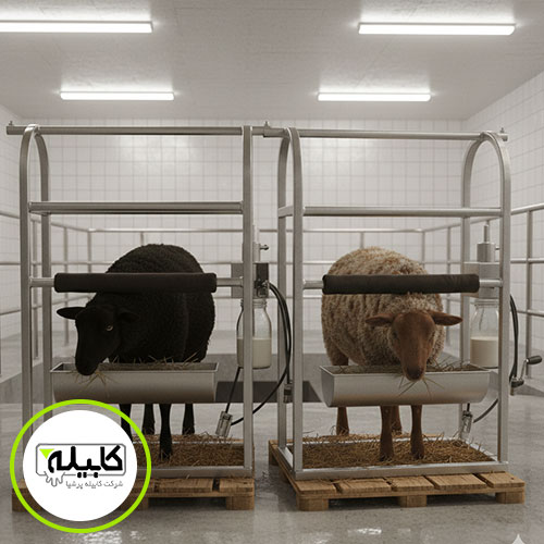 انواع فریم شیردوش دستی گوسفند