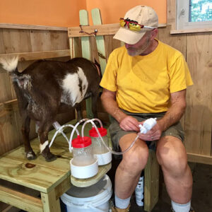 انواع مواد اولیه و مدلهای لاینر شیردوش بز