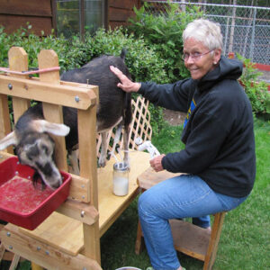 اهمیت زمانبندی دقیق تعویض لاینر شیردوش بز